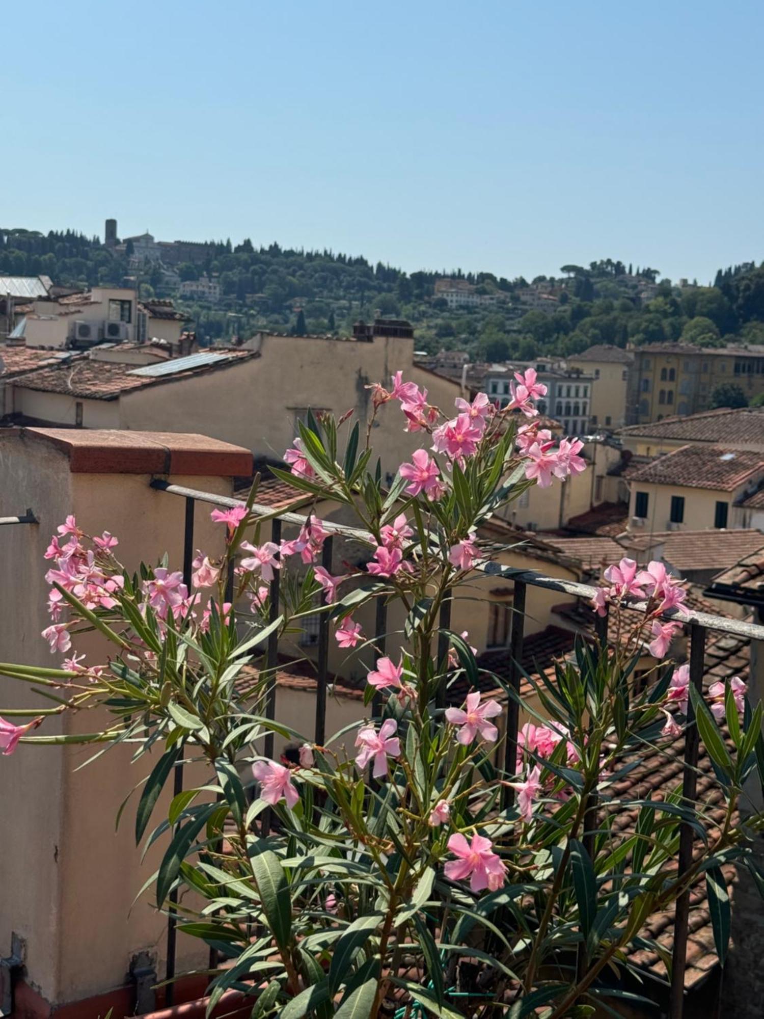 Firenze Panorama Suite & Terrace Luaran gambar
